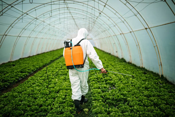 Best Pest Prevention Services  in Deenwood, GA