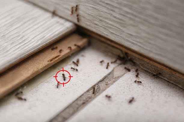 Best Pest Control for Restaurants  in Deenwood, GA
