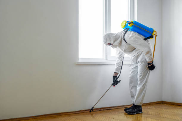 Best Flea Control Services  in Deenwood, GA