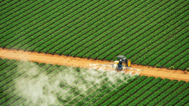 Best Commercial Pest Control Services  in Deenwood, GA