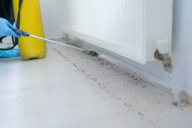 Best Wildlife Control Services  in Deenwood, GA