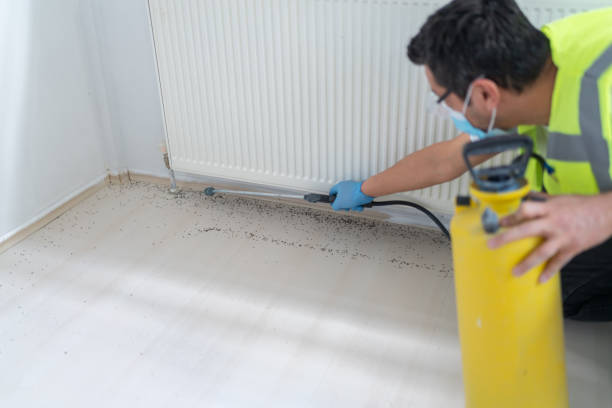 Flea Control Services in Deenwood, GA